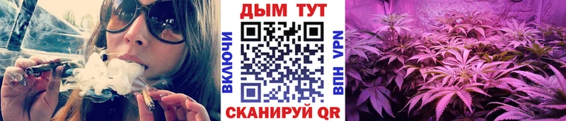 Наркота Венёв Гашиш Псилоцибиновые грибы MEGA зеркало Меф