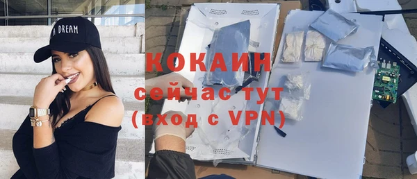 apvp Гусев