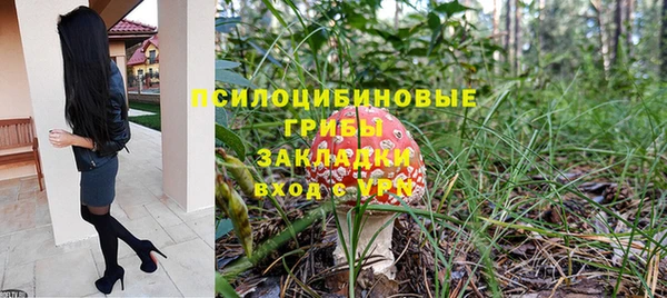прущая мука Надым