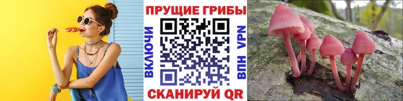 omg зеркало  Венёв  Псилоцибиновые грибы GOLDEN TEACHER  наркотики 