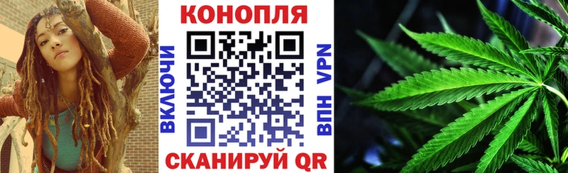 купить наркотики сайты  Венёв  мега вход  МАРИХУАНА Amnesia 